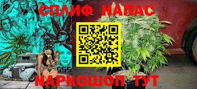 прущая мука Шахты